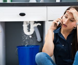 About Sewer Line Replacement Bimble, KY